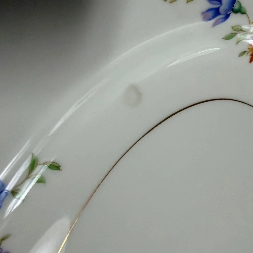 Eschenbach Bavaria Baronet China Lorna Oval Serving Platter Floral Gold Trim